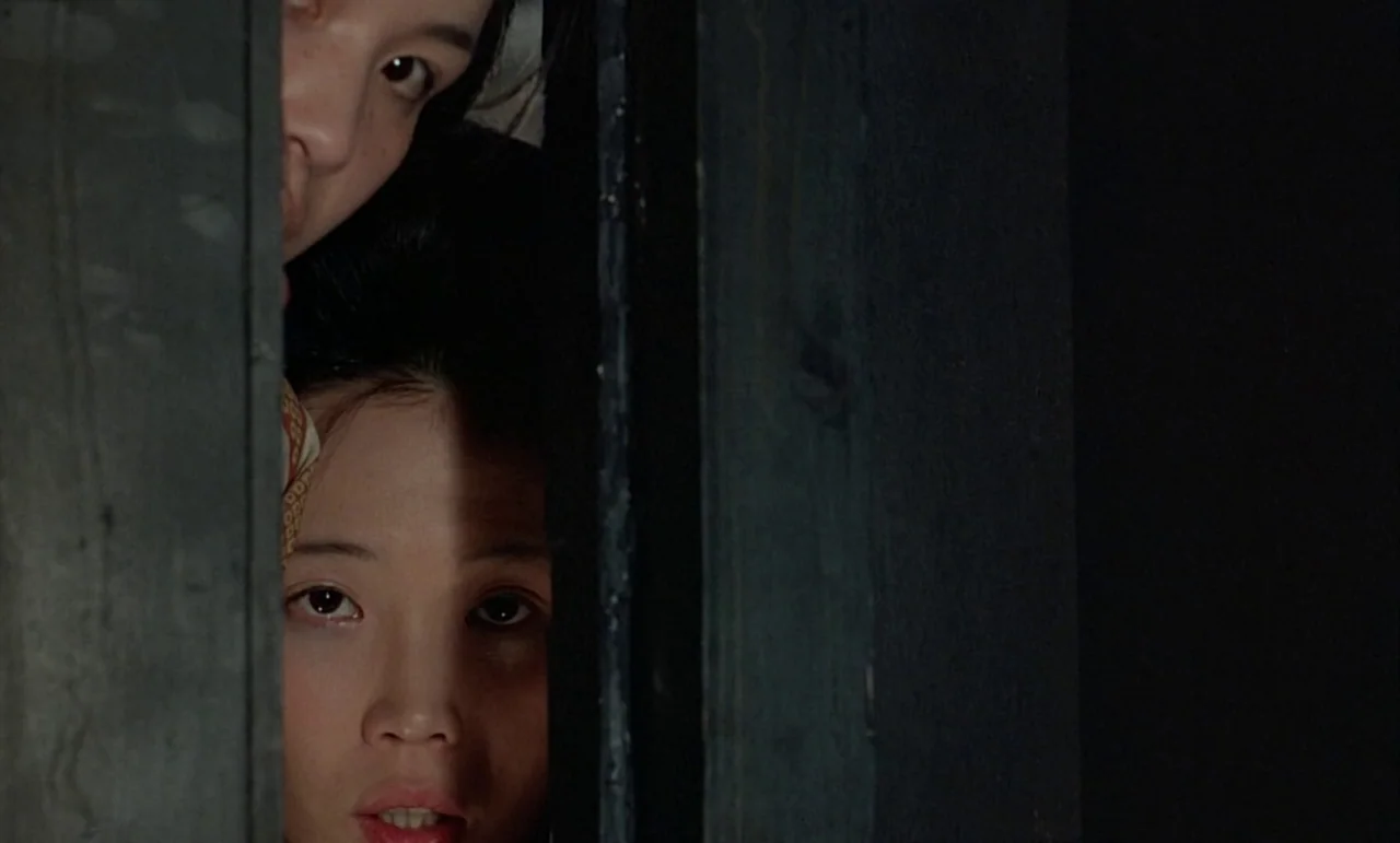 In The Realm of the Senses (1976) movie still: closeup — A sliver of light hits two women peering through a narrow gap in a door. The wooden door…