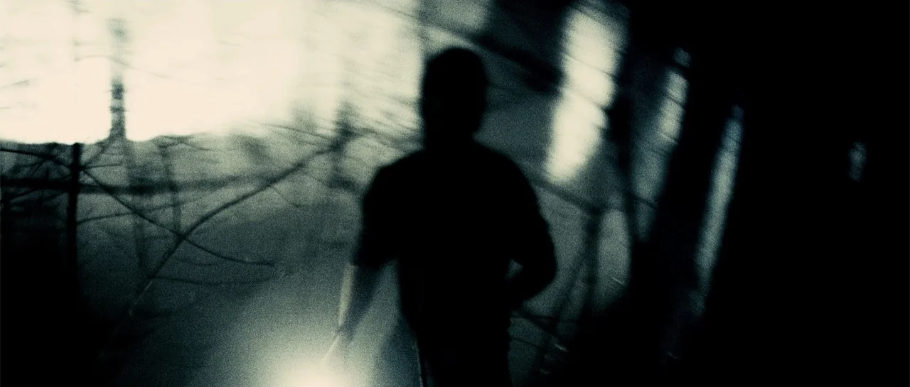 Blood Creek (2009) movie still: medium — A dark forest environment at night with blurred branches and heavy motion blur. A silhouetted figure walks…