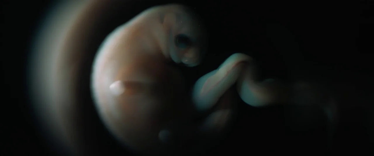 Dune: Part 2 (2024) movie still: closeup — A dark environment holds a single, translucent embryonic form. The fetus is curled into itself against a…