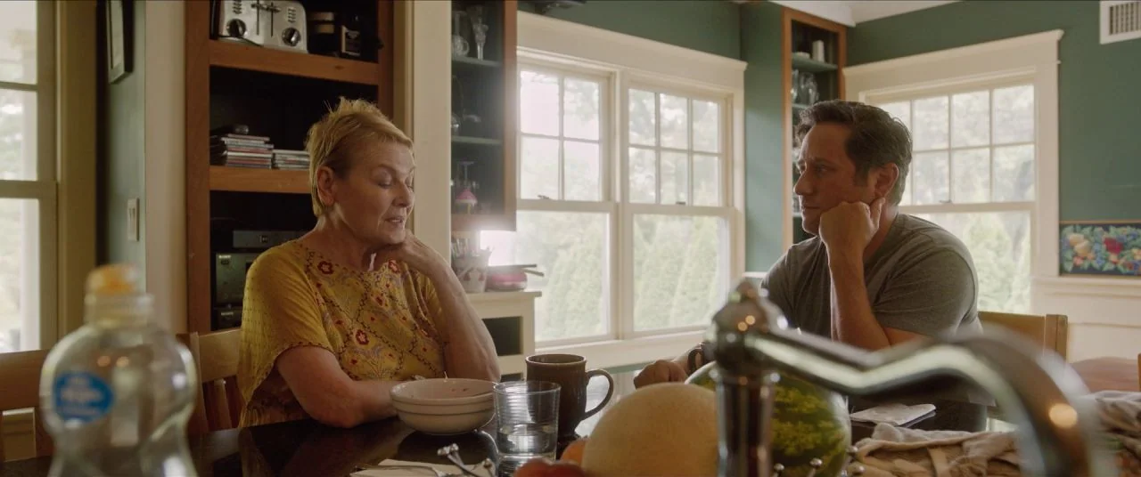 Let Them All Talk movie still: medium — A residential dining area with dark green walls and white window trim. An older woman and a middle-aged man…