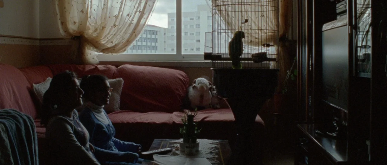 Arabian Nights: Volume 2 The Desolate One (2015) movie still: medium — A residential room features a red sofa and a birdcage near a large window.…