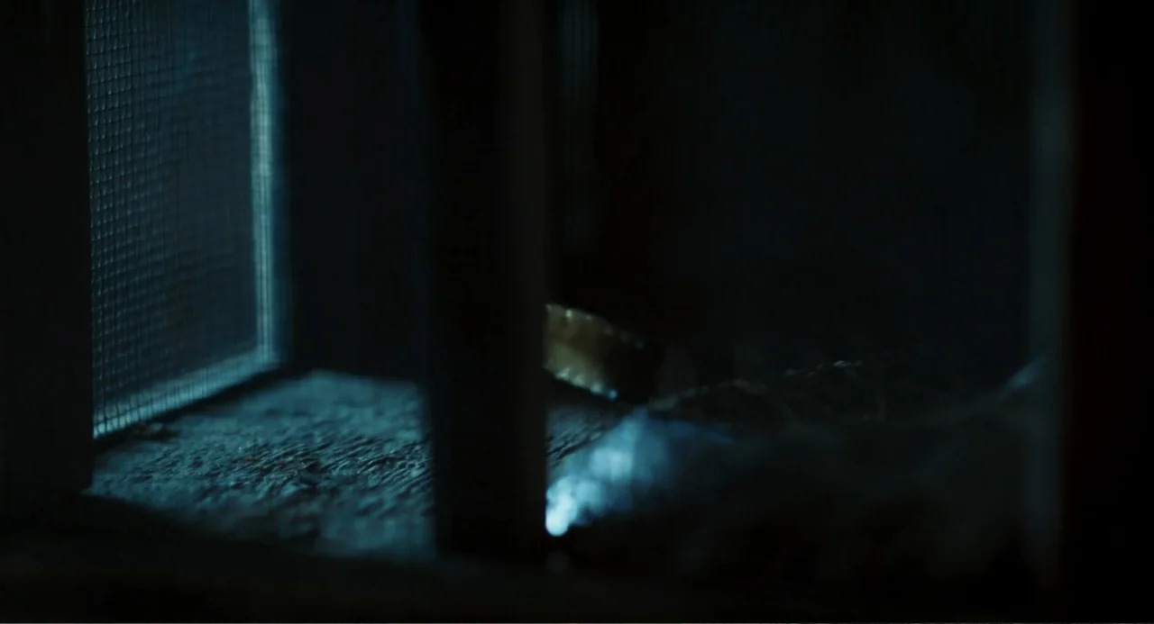 Salvation (2025) movie still: closeup — A dark interior window sill features a metallic screen pane visible under cool light. The wooden frame of…
