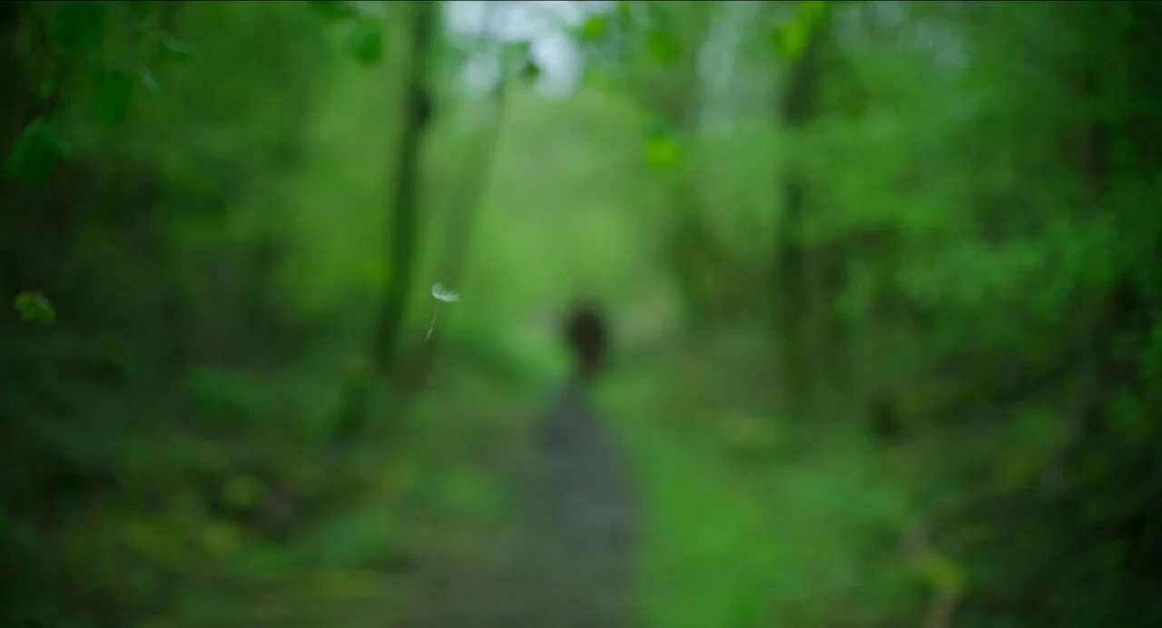 Men (2022) movie still: wide — A dense, verdant forest features a narrow dirt trail winding between dark tree trunks. A single small dandelion seed…