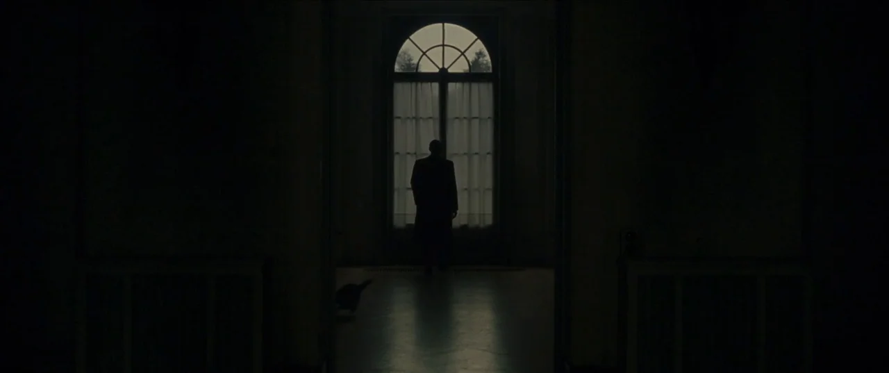 Earwig (2022) movie still: wide — A dark hallway leads toward a large arched window with white curtains. A man in a dark coat stands before the…