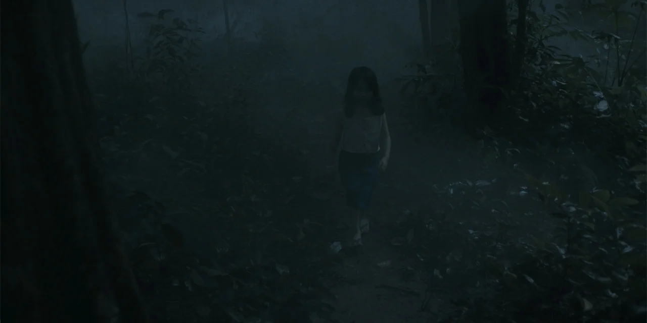 Host (2020) movie still: fullbody — A dense, dark forest filled with low-hanging fog and thick undergrowth at night. A young child walks slowly…