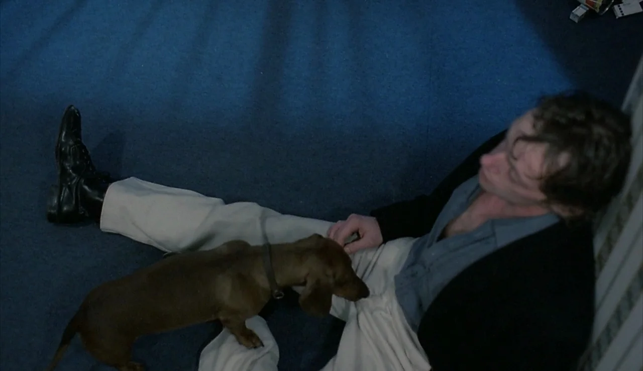 Angst (1983) movie still: medium — A man sits on a blue carpet in a room with patterned wallpaper. The man is petting a small brown dachshund dog.