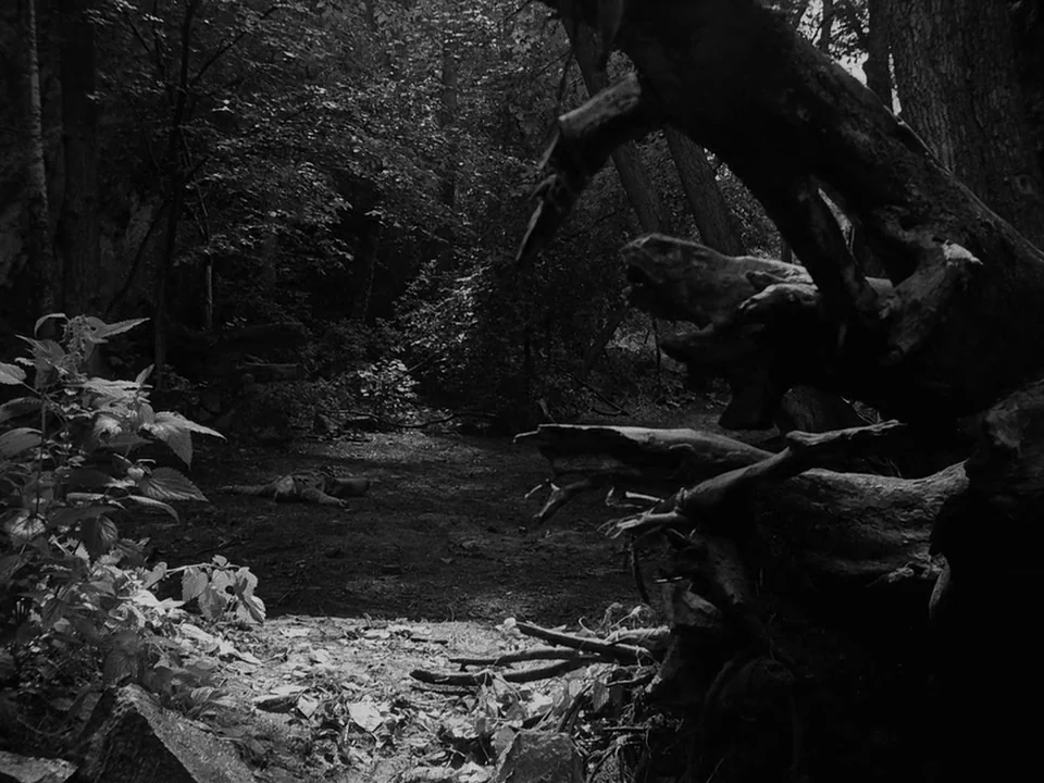 The Seventh Seal (1957) movie still: wide — A dark, dense woodland clearing features an overgrown path and gnarled, weathered tree trunks. A small,…