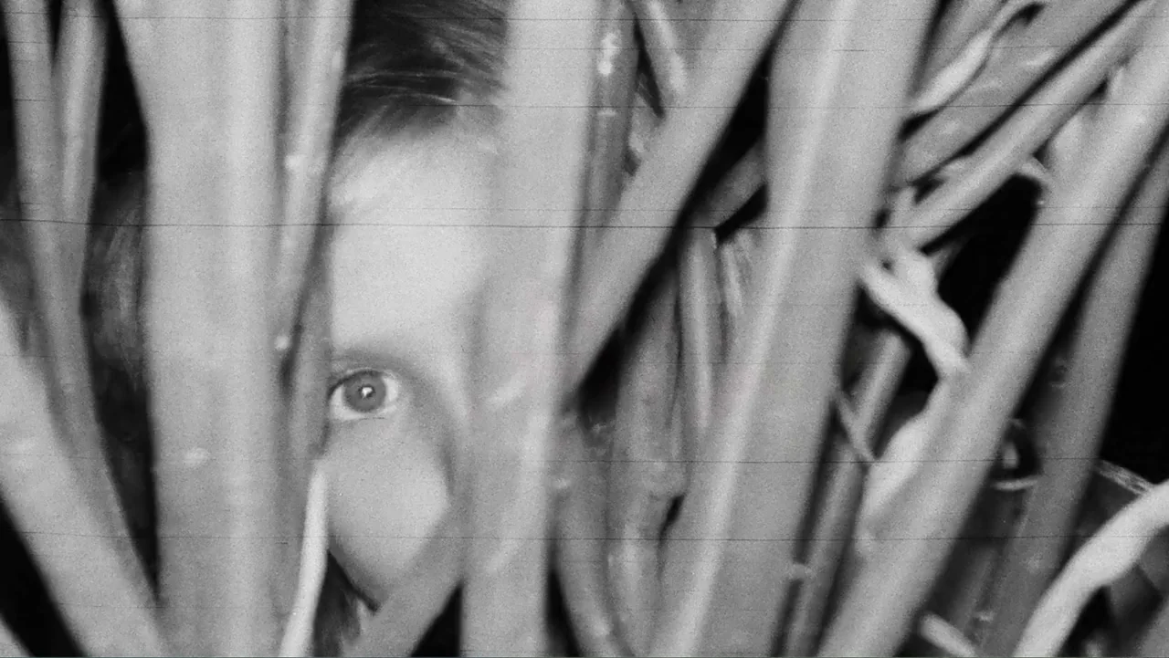 Savageland (2015) movie still: closeup — A person hides behind thick, vertical stalks of thick vegetation outdoors. A single eye observes the viewer…