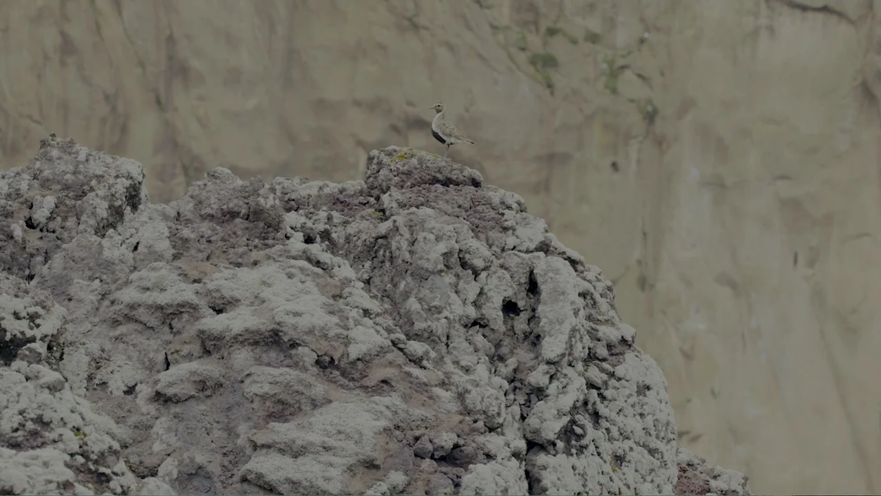 Iceland, the newborn island (2018) movie still: wide — A rugged cliffside features deeply textured, porous grey rock formations under a soft sky. A…