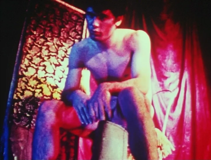 Pink Narcissus (1971) movie still: medium — A small room features a dark patterned fabric hanging behind a seated shirtless man. The man sits…