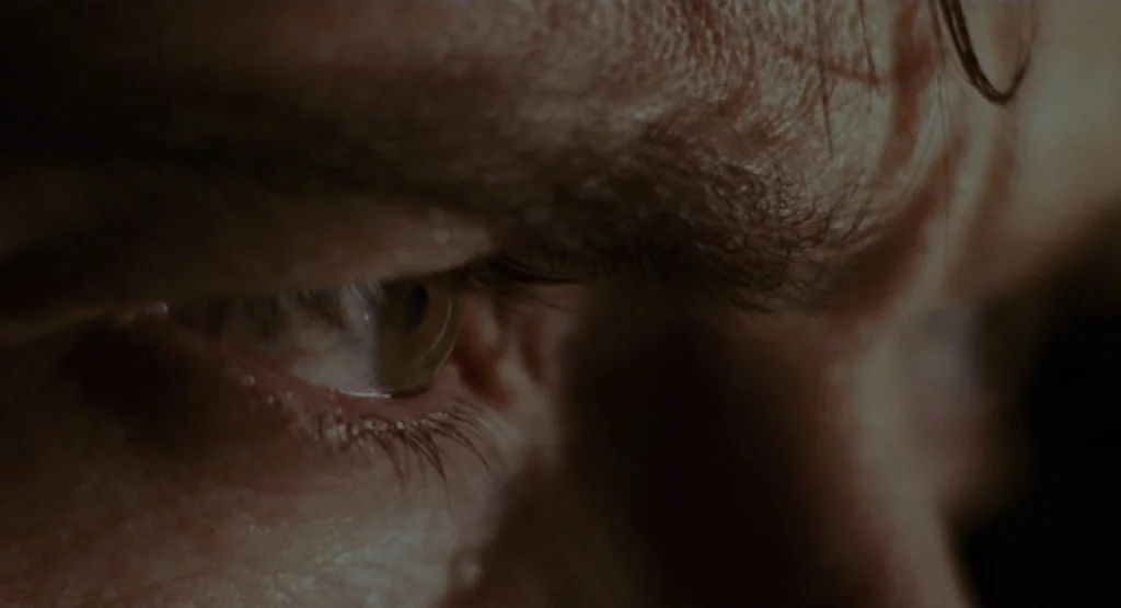 The Fountain (2006) movie still: closeup — A close-up view focuses on the human eye and surrounding brow area. The skin shows fine pores and hair…