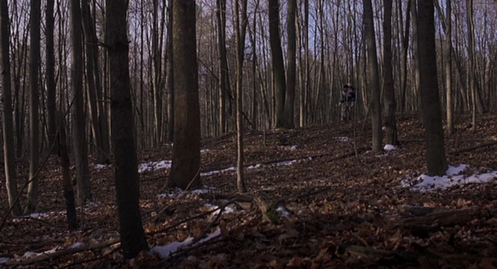 Lars And The Real Girl (2007) movie still: wide — A dense hardwood forest floor is covered with dry brown leaves and scattered snow. A lone hiker…