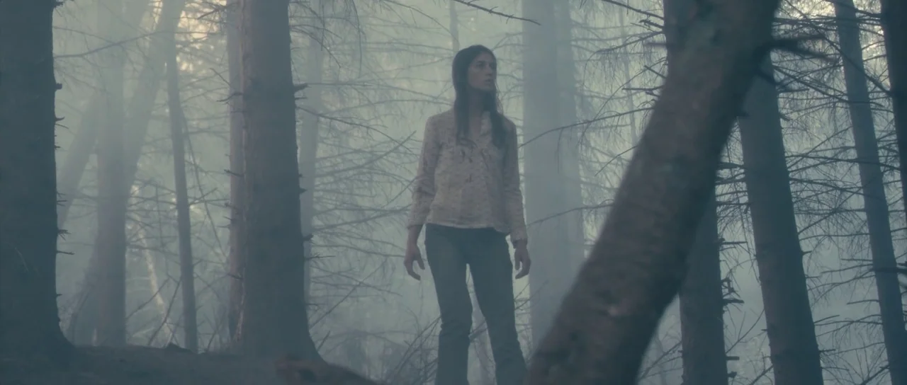 Antichrist (2009) movie still: fullbody — A woman stands in a dense, misty pine forest with thin trunks everywhere. She wears a light colored top…