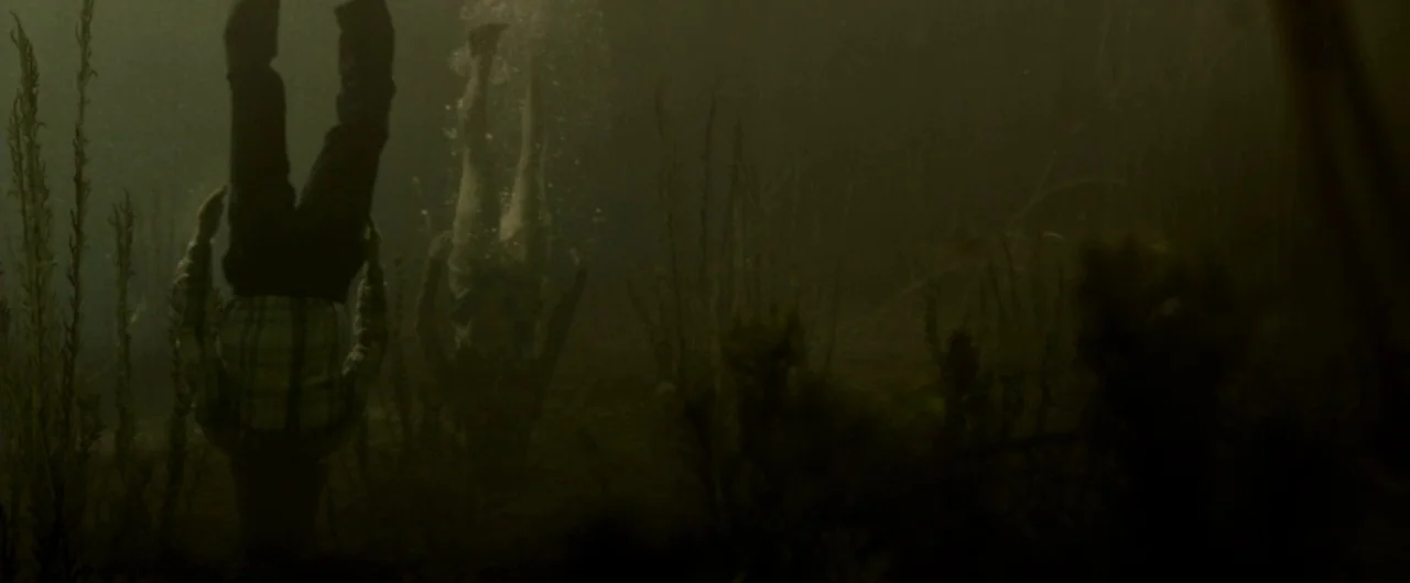 Borgman (2013) movie still: wide — The frame shows an underwater view of murky, dark water filled with vertical aquatic plants. Two figures float…