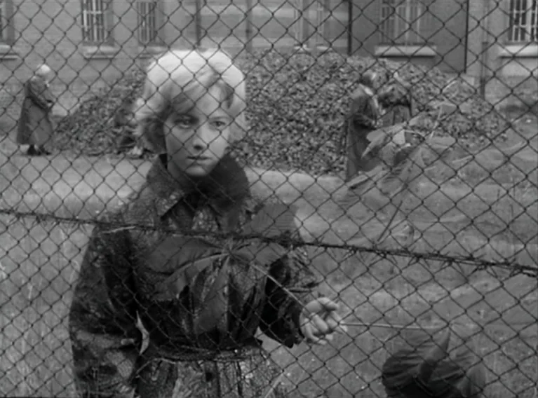 Head Against The Wall (1959) movie still: medium — An outdoor prison yard featuring a chain-link fence topped with barbed wire. A young woman with…