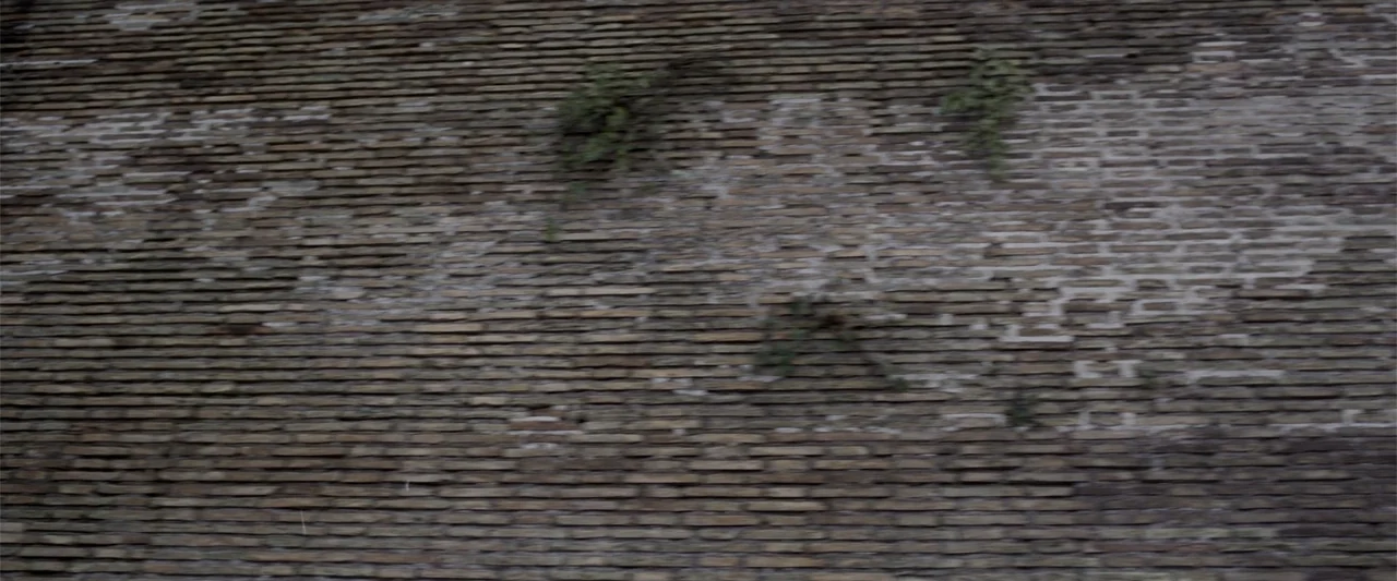 Conclave (2024) movie still: establishing — An aging, weathered brick wall features patches of moss growing between the horizontal rows. No human…