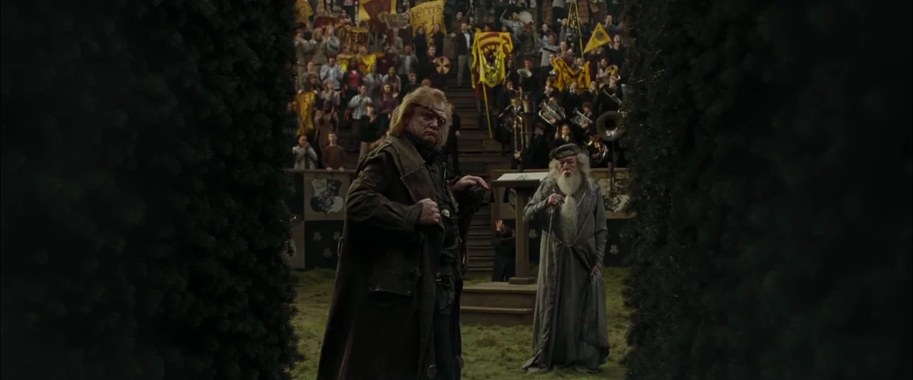 Harry Potter and the Goblet of Fire (2005) movie still: fullbody — A Quidditch stadium with tall hedges framing the foreground and spectators in the…