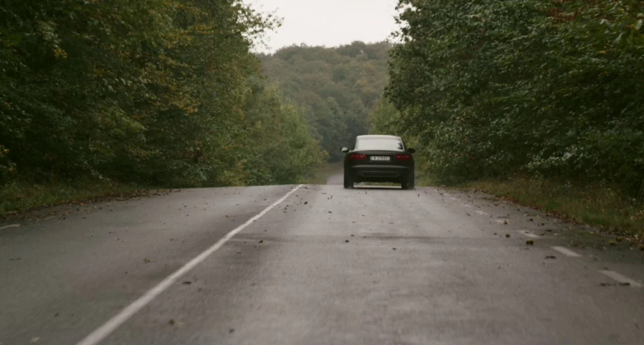 Bastards (2013) movie still: wide — A two-lane asphalt road stretches through a dense forest with scattered fallen leaves. A dark-colored sedan…