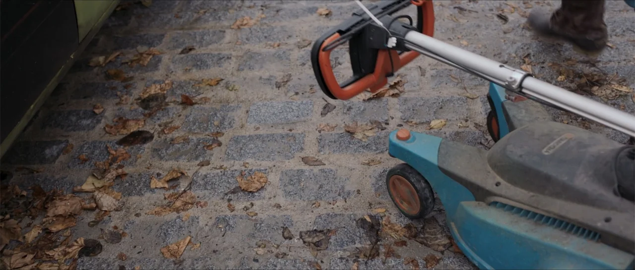 Historias lamentables (2021) movie still: medium — A grey cobblestone path is scattered with scattered brown fallen leaves on a clear day. An…
