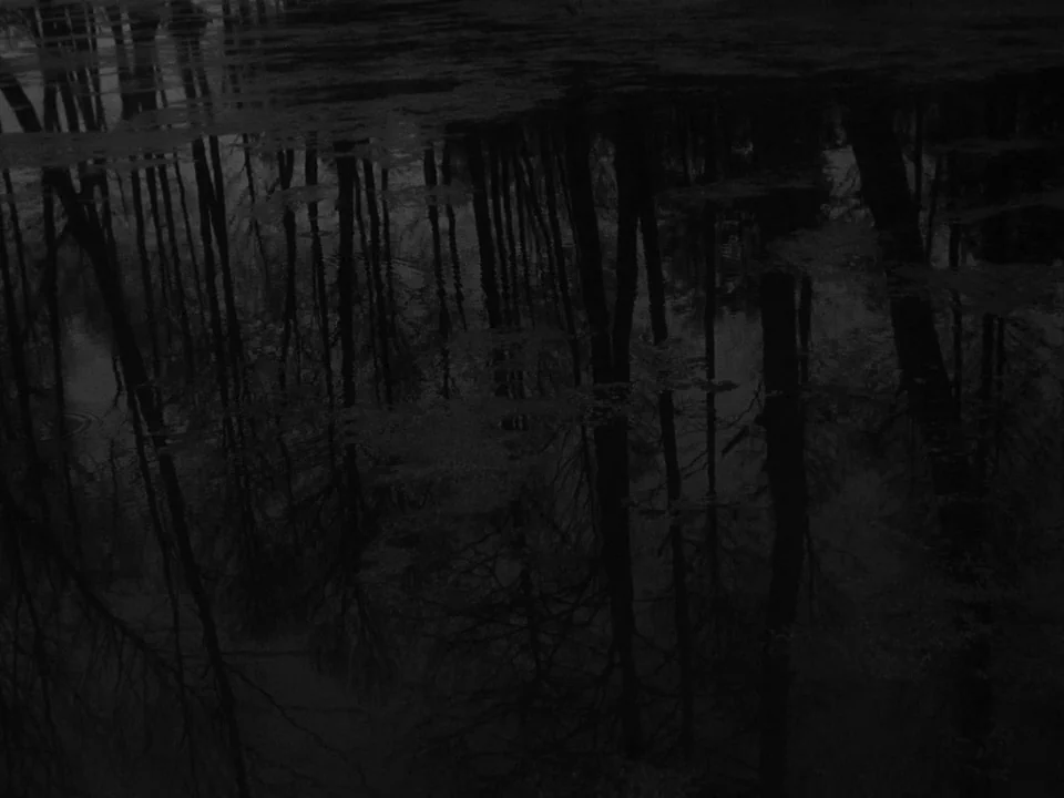 Ivan’s Childhood (1962) movie still: establishing — The dark, still surface of a pond reflects the silhouettes of tall, leafless trees. The entire…