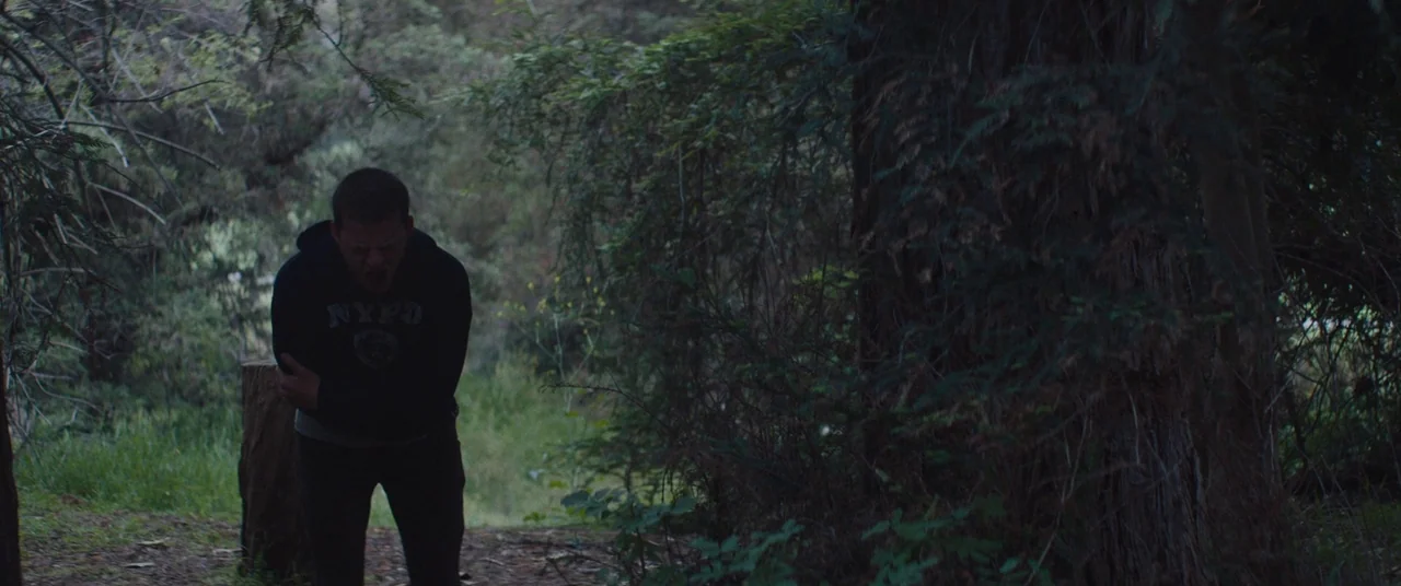 Honey Boy (2019) movie still: wide — A dense grove of trees with thick tree trunks and overgrown foliage surrounding him. A man stands in the…