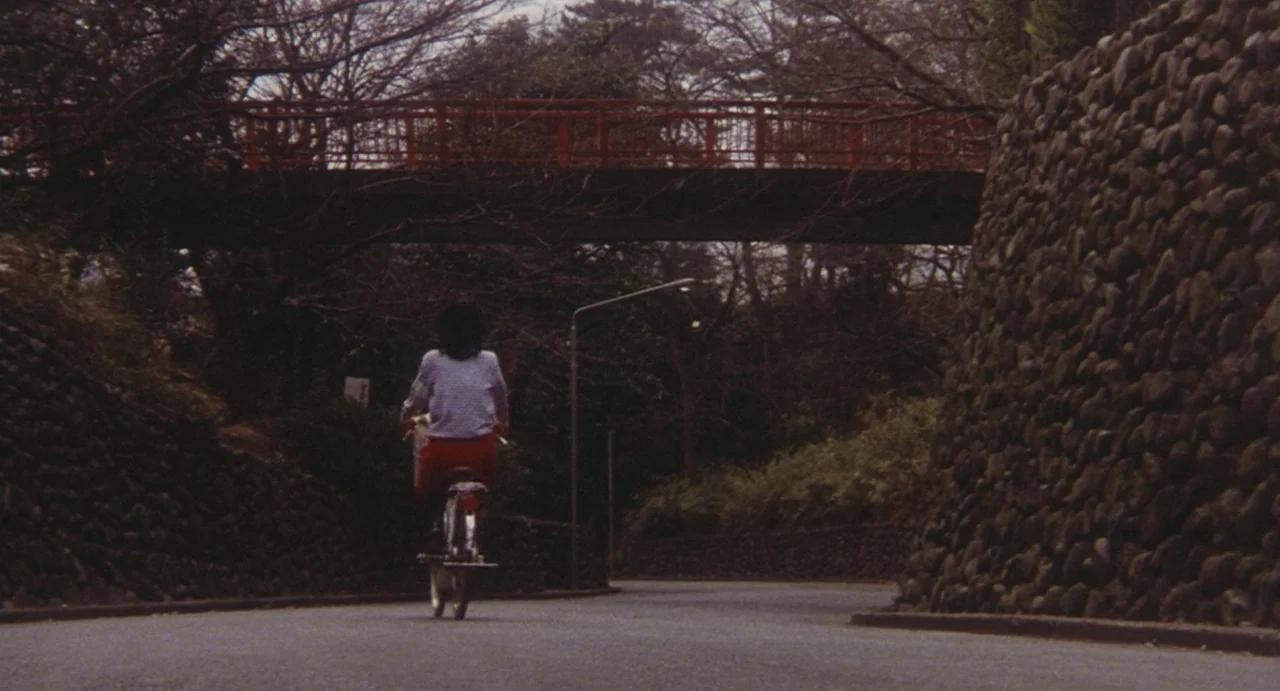 School in the Crosshairs (1981) movie still: wide — A paved road winds between two stone retaining walls beneath a red footbridge. A person rides a…