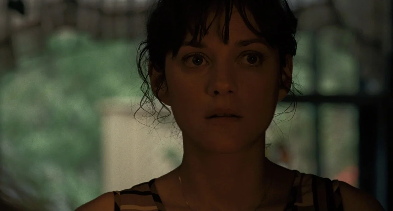 It’s Only The End Of The World (2016) movie still: closeup — A dark indoor space with blurred greenery visible through a window behind the subject.…