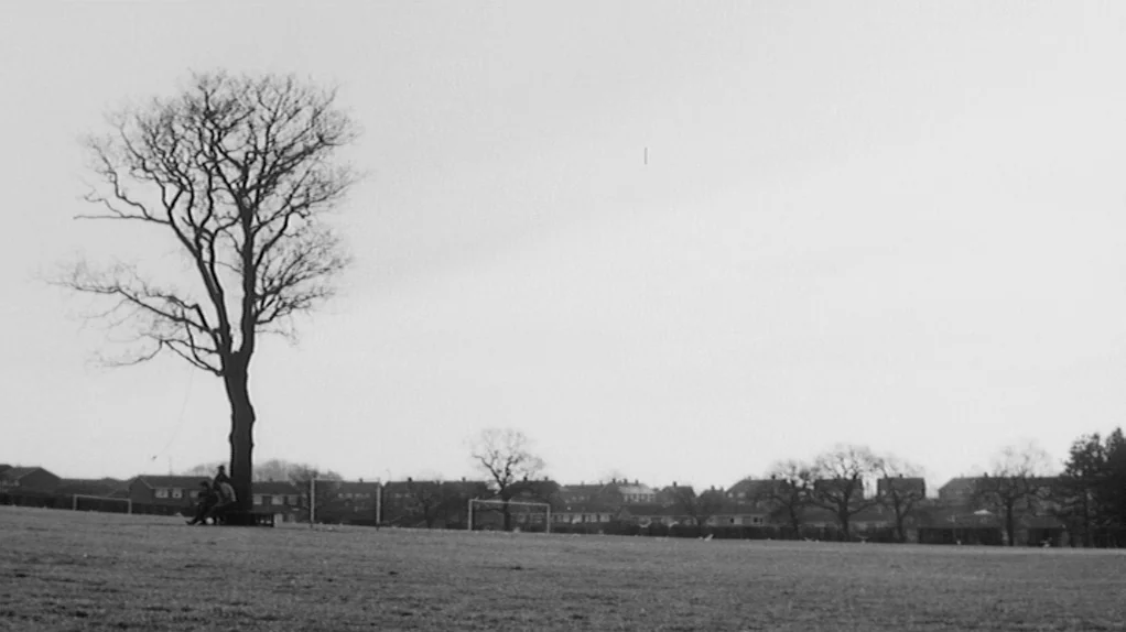 TwentyFourSeven (1997) movie still: wide — A vast, flat grassy field with a large, bare-branched tree in the foreground. Rows of suburban…