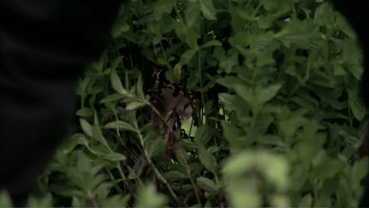 Behind Enemy Lines (2001) movie still: closeup — A dense thicket of green leaves frames a person looking through the foliage. The individual peers…