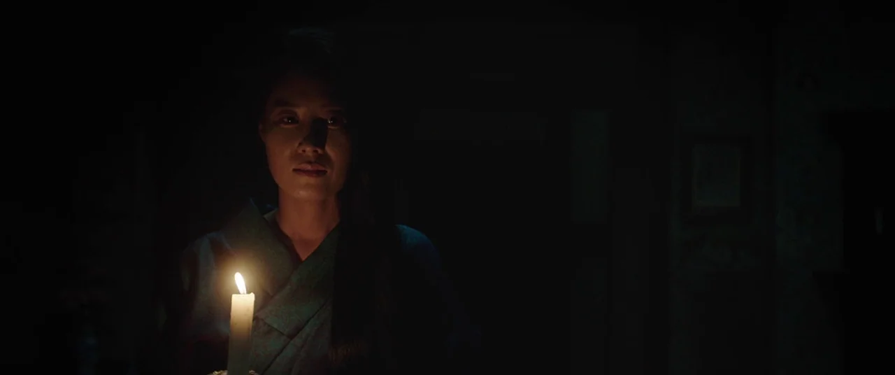 The Handmaiden (2016) movie still: medium — A woman stands in a pitch-black interior space, with only her face partially illuminated. She holds a…