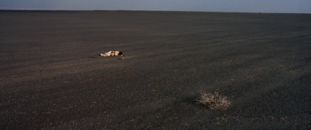 Crouching Tiger, Hidden Dragon (2000) movie still: establishing — A vast, barren desert landscape stretches to the horizon under a clear sky. A lone…