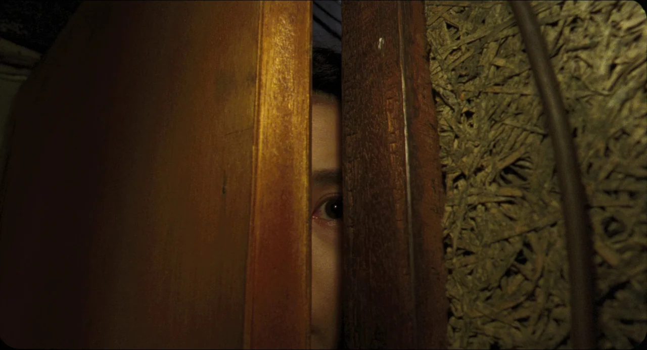 Goodbye, Dragon Inn (2003) movie still: closeup — A person looks through a thin vertical crack between two wooden surfaces. The wall to the right is…