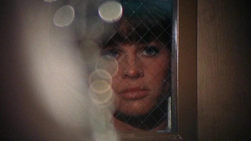 Petulia (1968) movie still: closeup — A woman stares through a wire-reinforced glass panel set within a wooden frame. She is visible behind the…