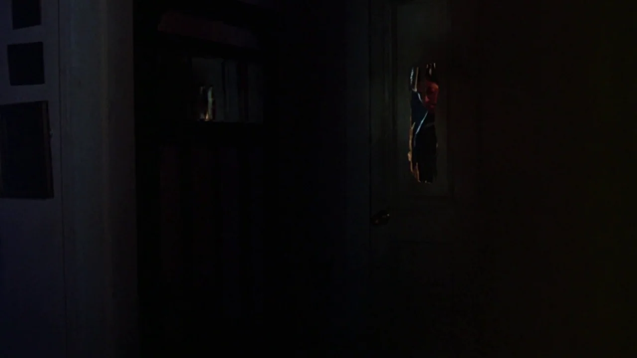 Friday the 13th: The Final Chapter (1984) movie still: medium — A dark hallway features a closed door with a narrow vertical gap. A man's face is…
