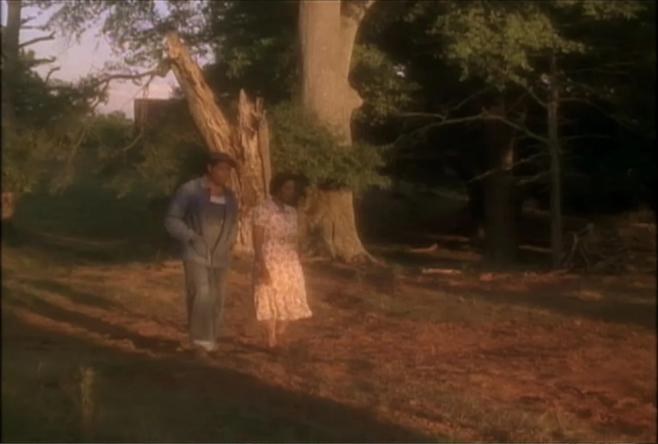 Miss Evers' Boys (1997) movie still: fullbody — A rural grassy area features large trees and a split tree trunk under sunlight. A man and a woman…
