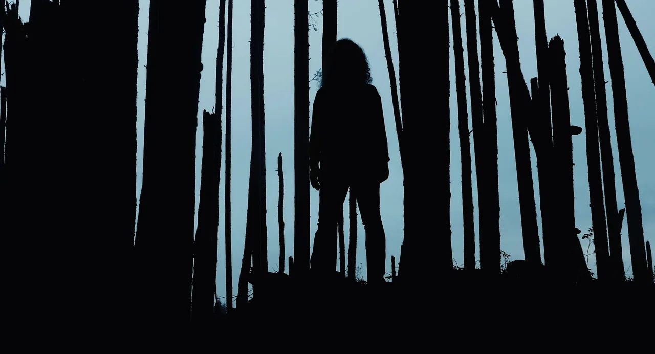 Hellbender (2021) movie still: fullbody — A dense grove of dark, thin pine tree trunks stands against an overcast sky. A person with curly hair…