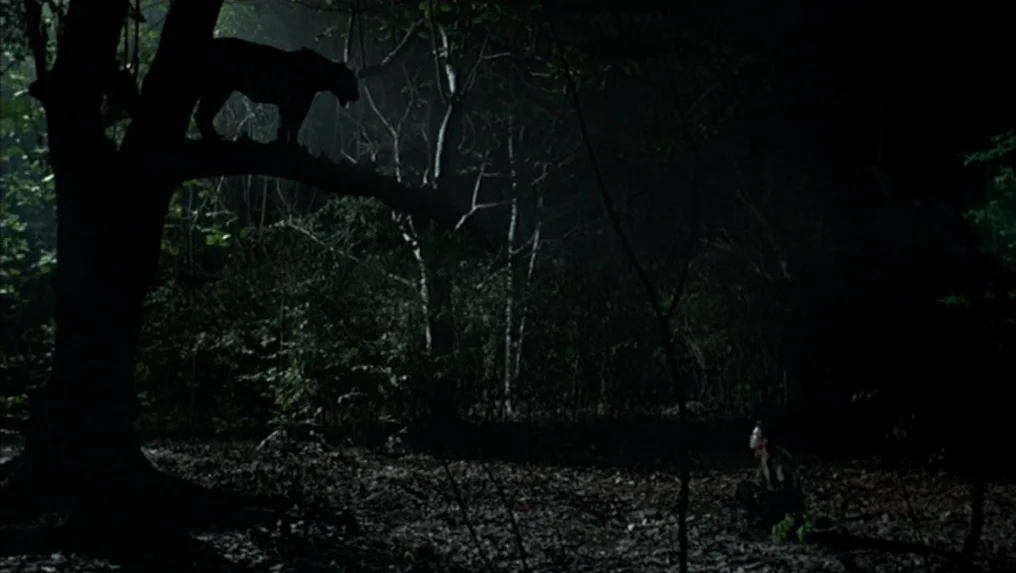 Tropical Malady (2004) movie still: wide — A dark, dense forest floor covered in dried leaves at night. A tiger perched on a thick tree branch looms…