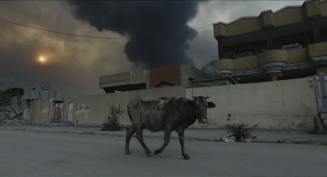 Human Flow (2017) movie still: medium — A desolate paved road passes a weathered concrete house under a smoke-filled sky. A lone cow walks across…