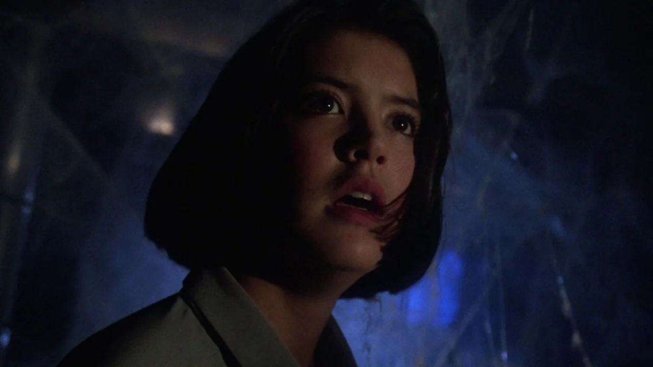Gremlins 2: The New Batch movie still: closeup — An attic space filled with thick, visible cobwebs extending across the dark frame. A young woman…