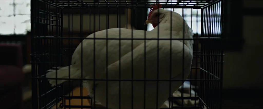 The Social Network movie still: closeup — A white chicken is confined within a black metal wire cage in a room. The chicken rests inside the…