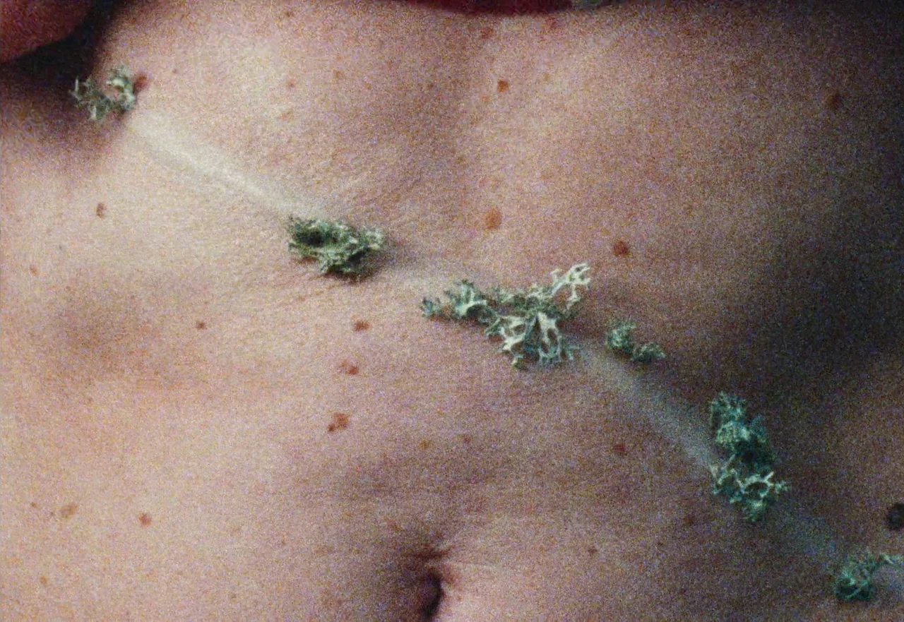 Enys Men (2022) movie still: closeup — A close-up view shows a person's bare abdomen covered in small patches of lichen. The grey-green organism…