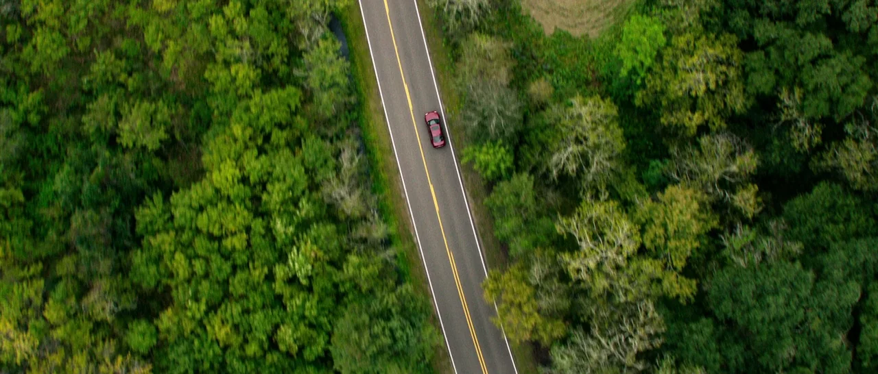 10 Cloverfield Lane (2016) movie still: establishing — A dense forest of lush green trees surrounds a straight, two-lane asphalt road. A single red…