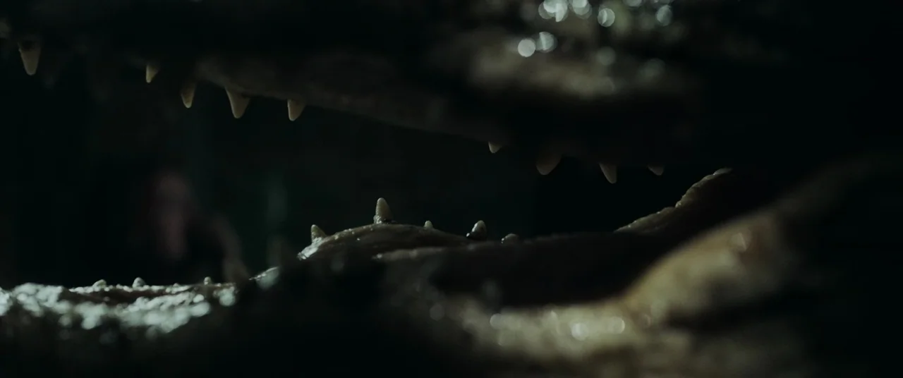 Crawl (2019) movie still: closeup — A dark swamp environment is shown from the perspective of an animal. Rows of sharp, wet teeth frame the view…