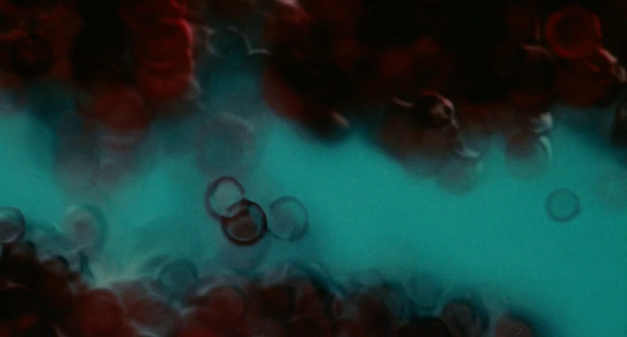 The Skin I Live In (2011) movie still: closeup — A microscopic view shows circular red blood cells suspended in a turquoise plasma fluid. The cells…