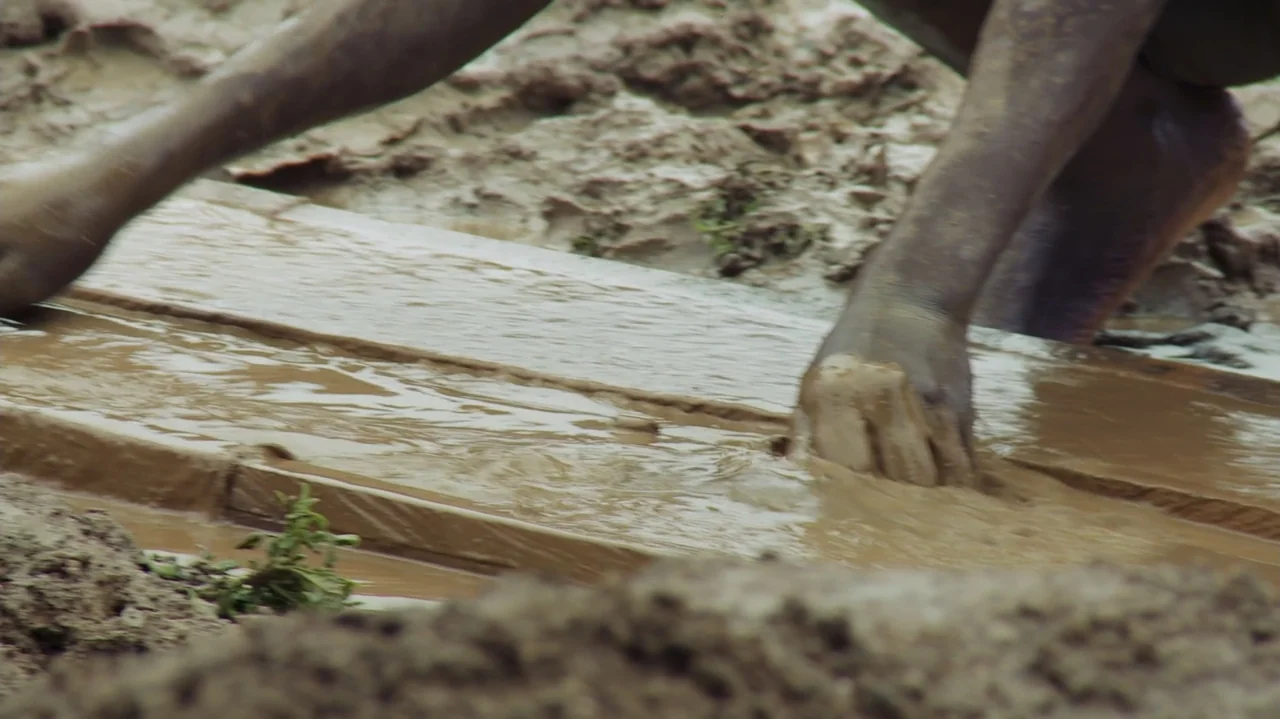 The Money Stone (2018) movie still: closeup — A wet, muddy exterior environment with wooden planks resting in deep brown sludge. Hands reach down to…