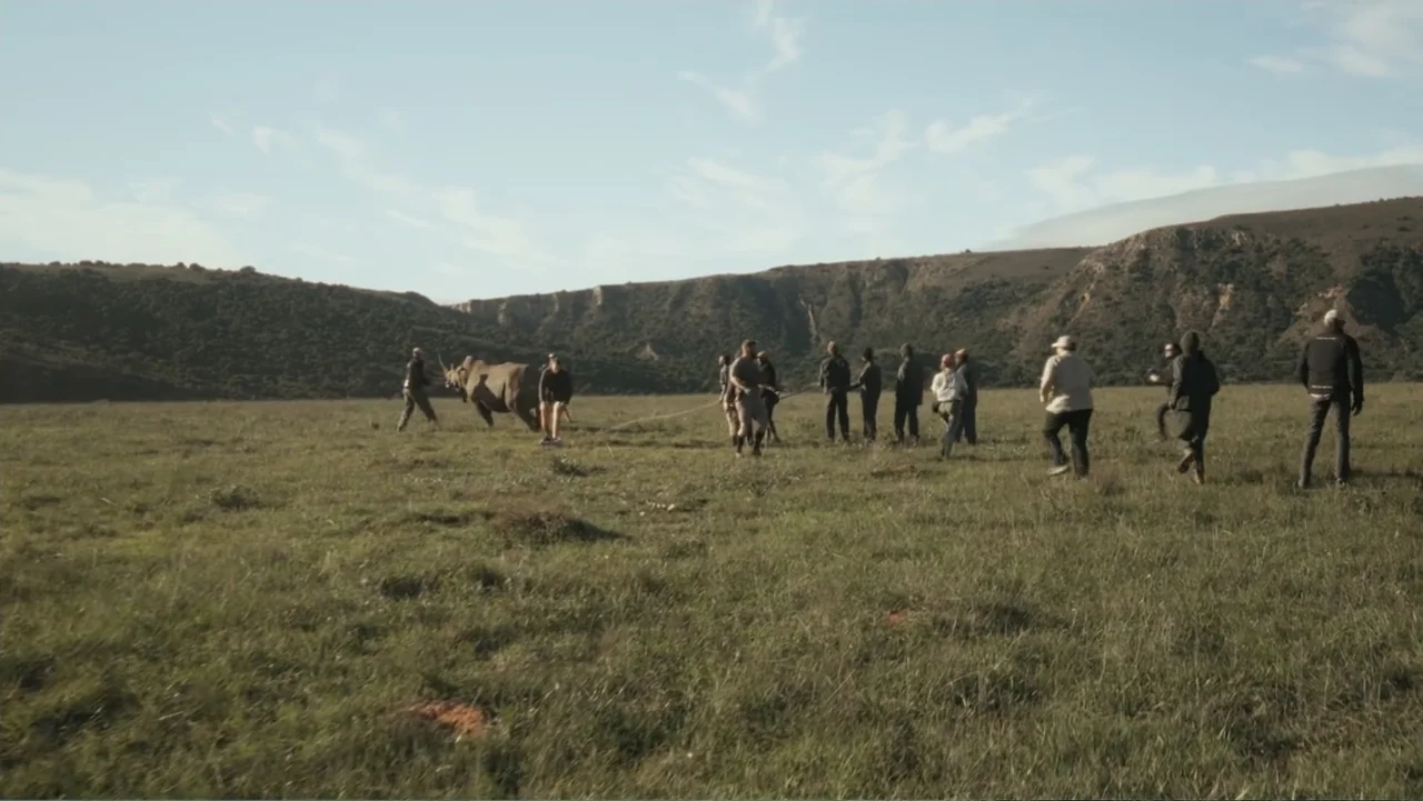 Bloody Trophy (2025) movie still: wide — A wide, grassy plain stretches toward rolling hills under a bright daytime sky. A group of people carefully…