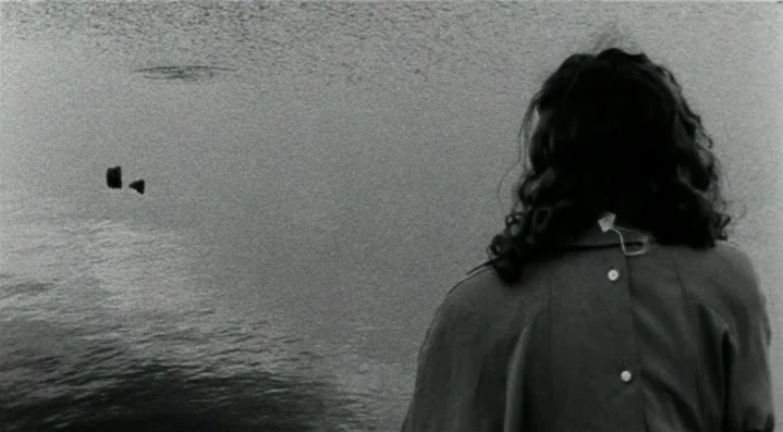 Roadkill (1989) movie still: medium — A dark body of water stretches out under natural, overcast daylight. A woman with dark hair stands with her…