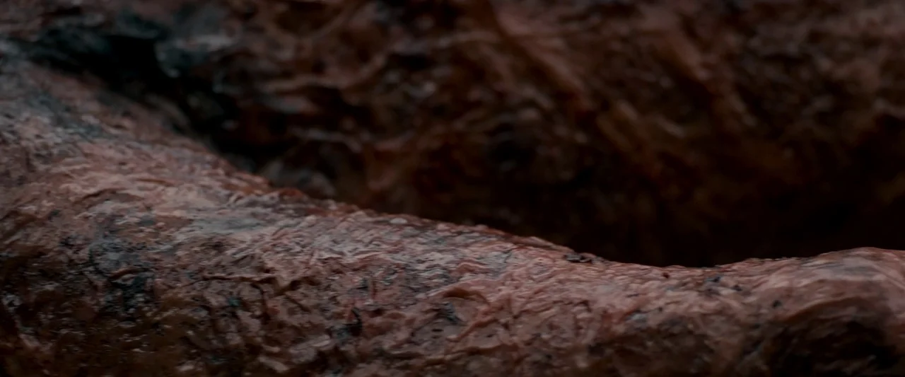 The Autopsy of Jane Doe (2016) movie still: closeup — A close-up view shows a wet, veinous, and textured brown organic surface. Deep fissures and…