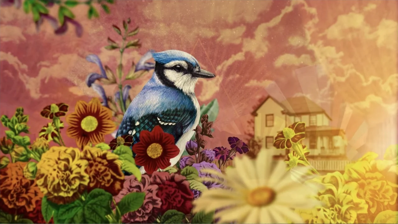 Judy Blume Forever (2023) movie still: medium — A blue jay rests amidst a colorful patch of assorted flowers and plants. A house is visible in the…