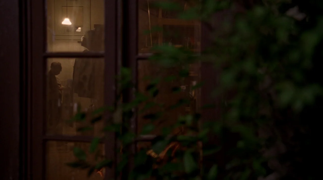 Lady in the Water (2006) movie still: wide — A dark outdoor view looks through a window at a dimly lit interior room. The blurred foliage of a plant…